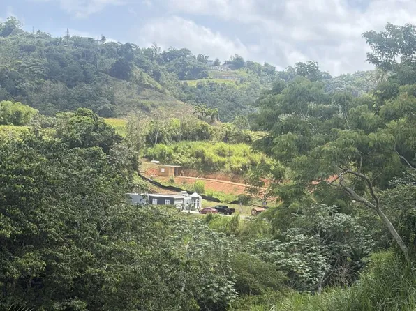 Bo Quebradillas Carr 773 Km 1.1 Int Batas, Barranquitas, PR 00794