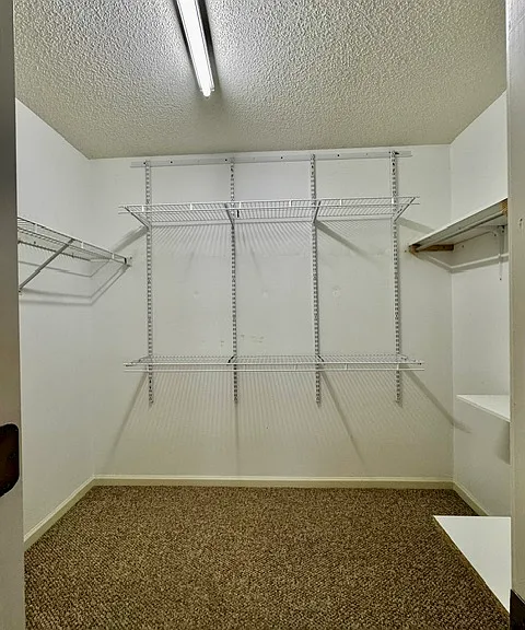 102 Widgeon Cir — Photo 20