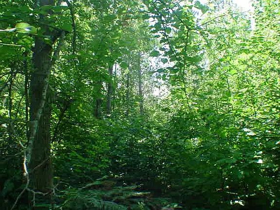 5th image of Hwy 64