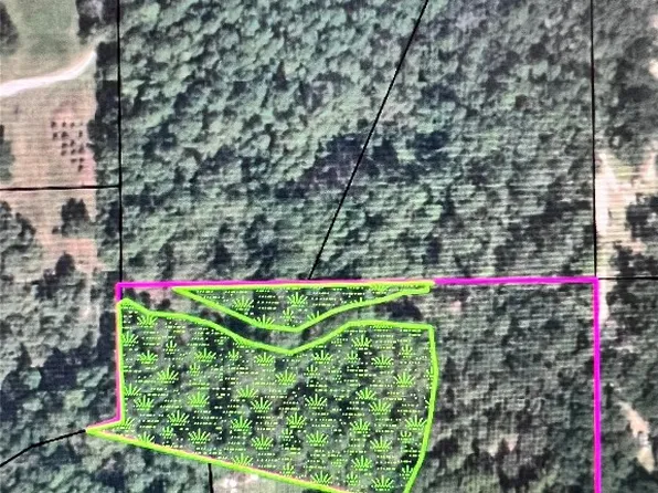 0 Water Oak Rd, Yulee, FL 32097
