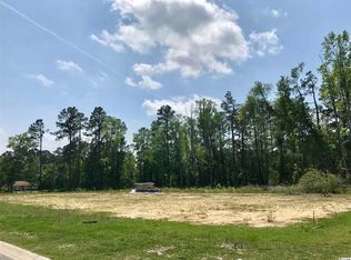 Tbd Brown Swamp Rd, Conway, SC 29527