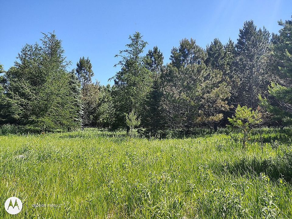 Combo of trees and grass.
