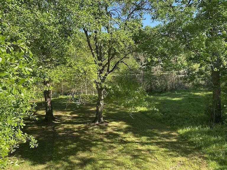 283 Wood Fern Dr — Photo 14