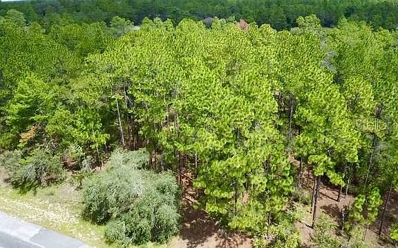 2nd image of 3861 W FIREWOOD LOOP LOT 13