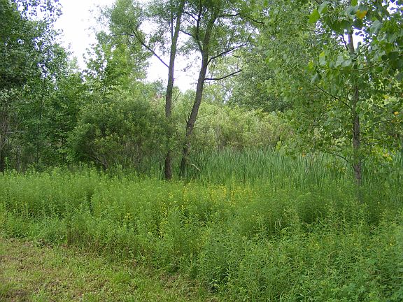 4th image of 0 County Road 50