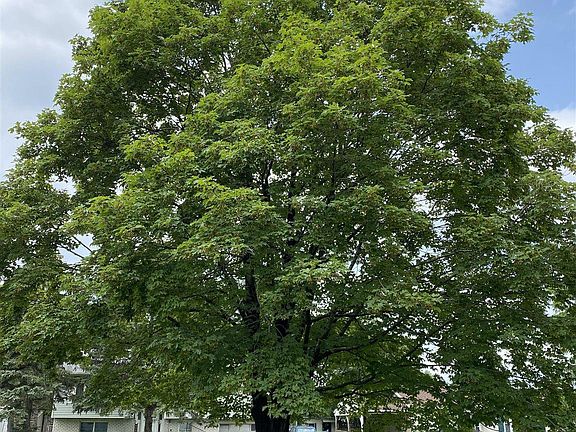 4th image of 0 ANTHONY Avenue