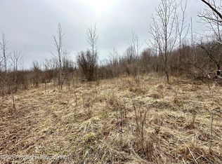 Murphy Hill Rd, Pleasant Mount, PA 18453