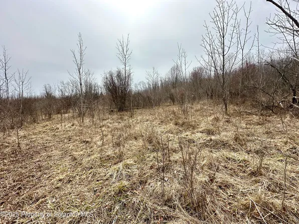 Murphy Hill Rd, Pleasant Mount, PA 18453