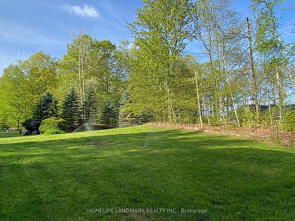 4th image of 1976 Forest Valley Dr