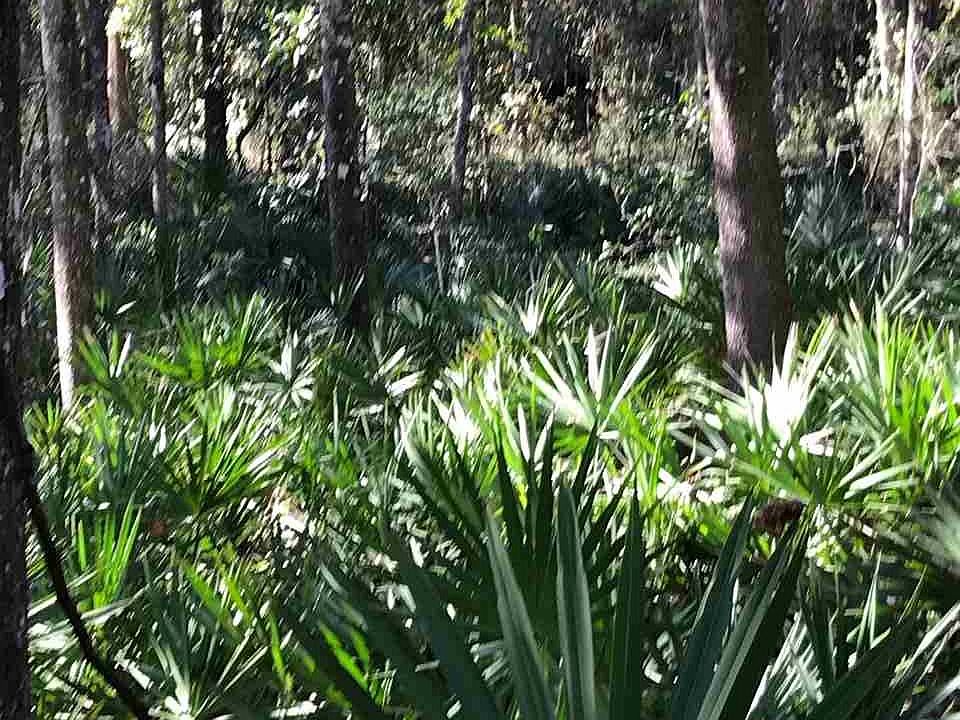 2nd image of Greenough Rd