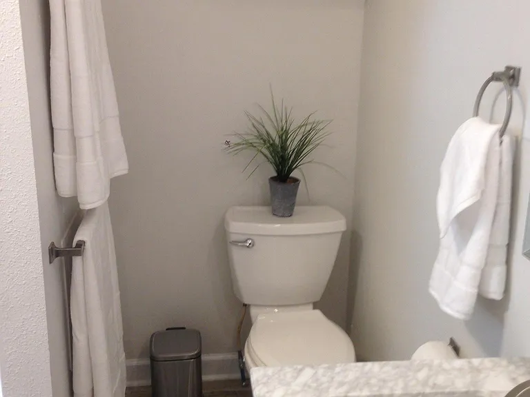 Toilet.