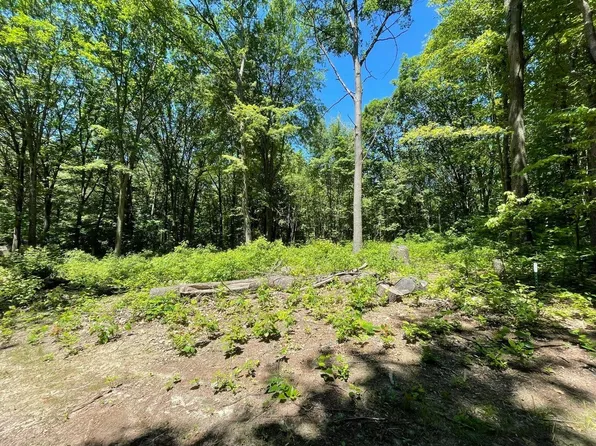 Sycamore St, Grand Junction, MI 49056