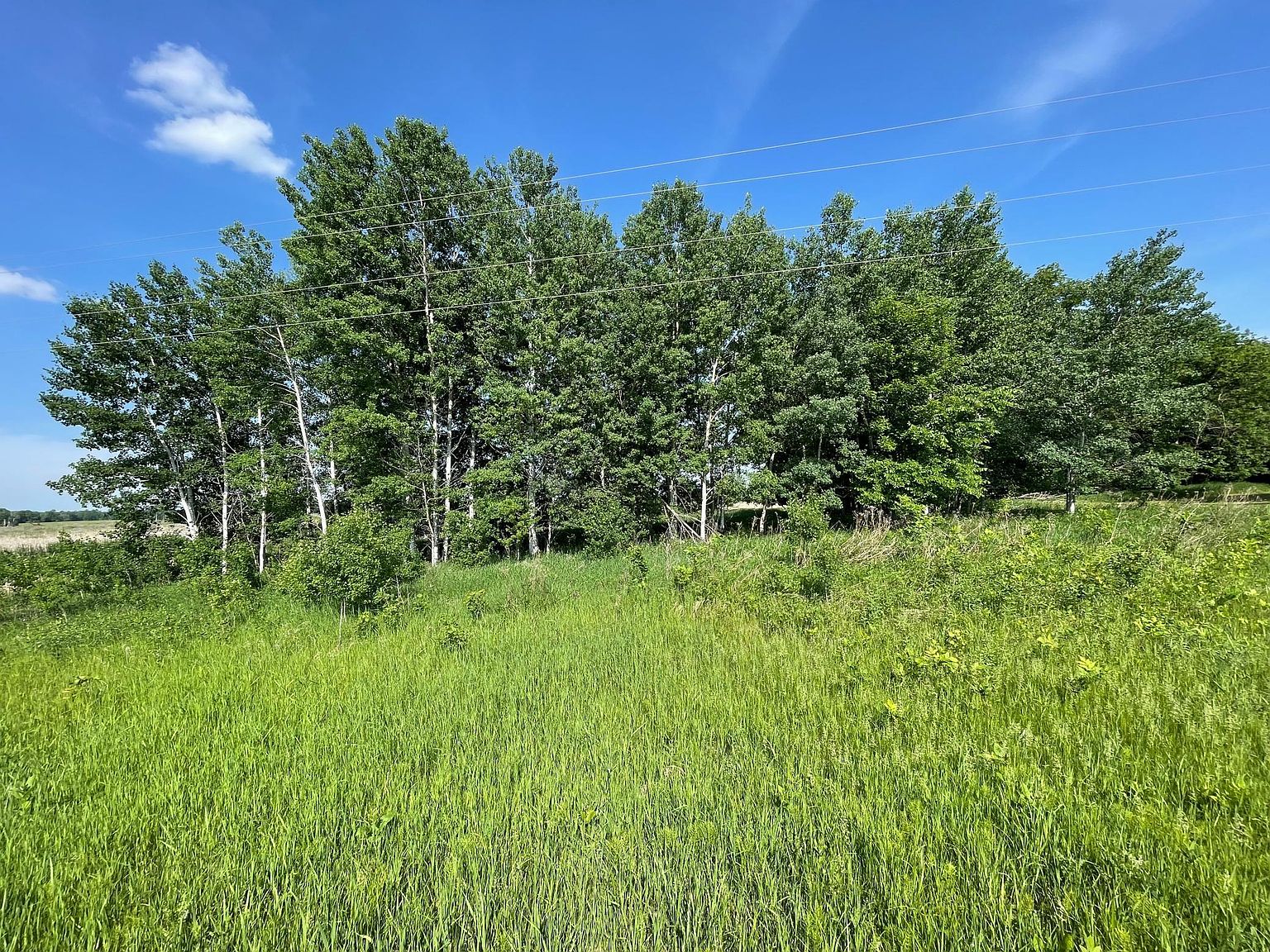 Dove Rd, Randall, MN 56475 MLS 6348045 Zillow