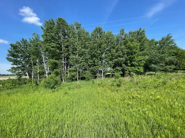 Xxx Dove Rd, Randall, MN 56475