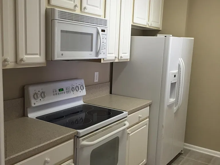7801 Point Meadows Dr #7203 — Photo 5