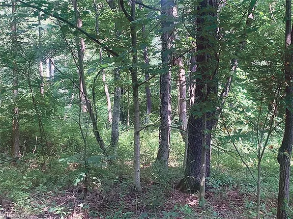 Haiti Rd, Salineville, OH 43945