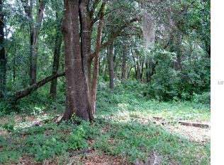 2128 Supreme Ct, Mount Dora, FL 32757