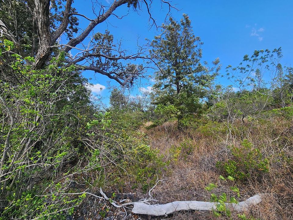 2nd image of King Kamehameha Blvd Lot 19