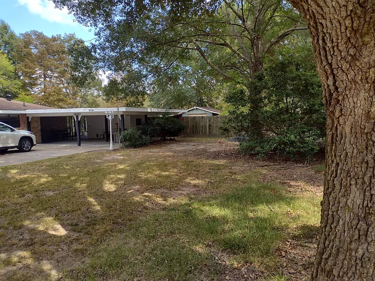 Lawn from side section