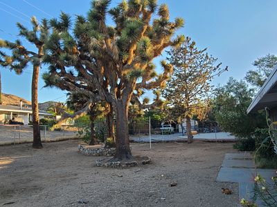 56865 Ivanhoe Dr, Yucca Valley, CA, 92284