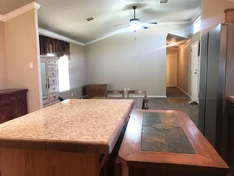 7100 Airline Rd #454 — Photo 7