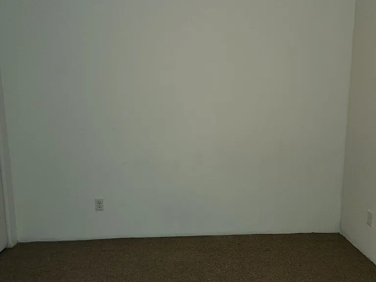 937 Nandina St — Photo 11
