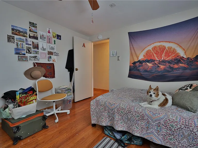 4259 Minnesota St — Photo 25