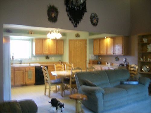 5th image of 1400 N Lani Dr