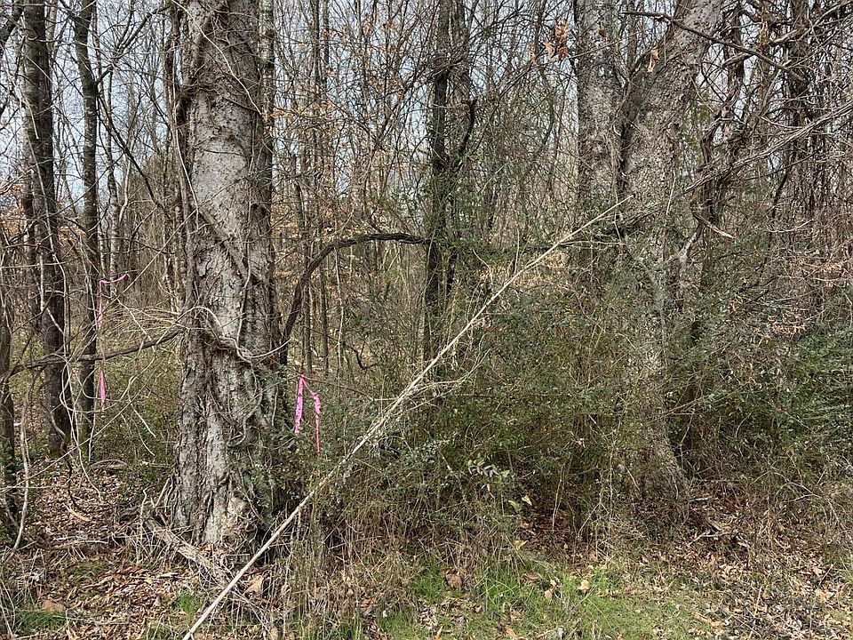 2nd image of LOT 2 State Highway 304