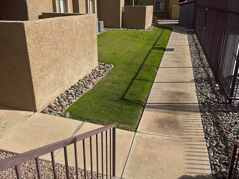 2194 N Pantano Rd #245 — Photo 15