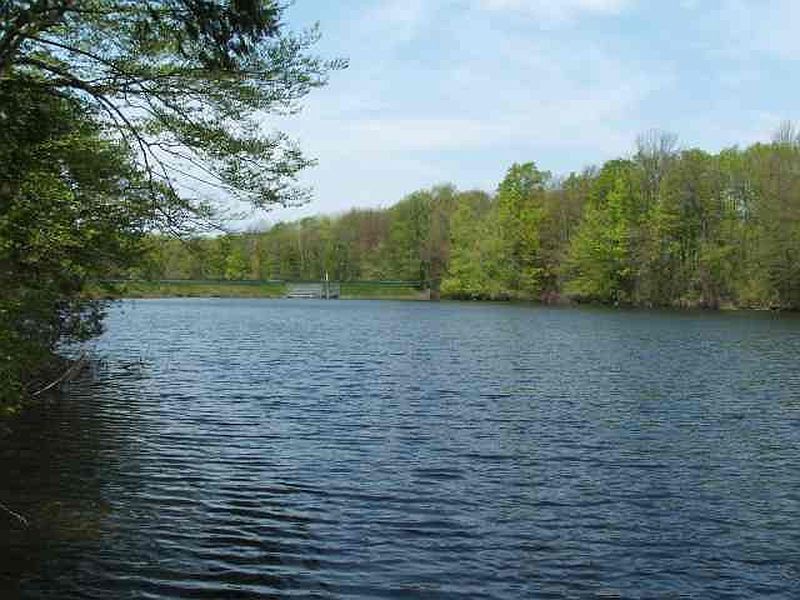 5th image of 1209 DAM Road