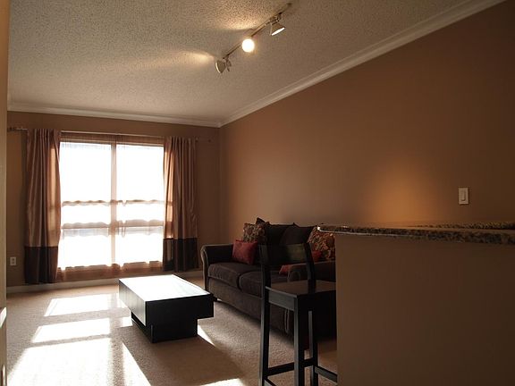 Spacious living room with comfy pull-out couch