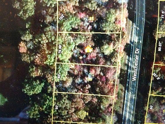3rd image of 738 Westchester Dr