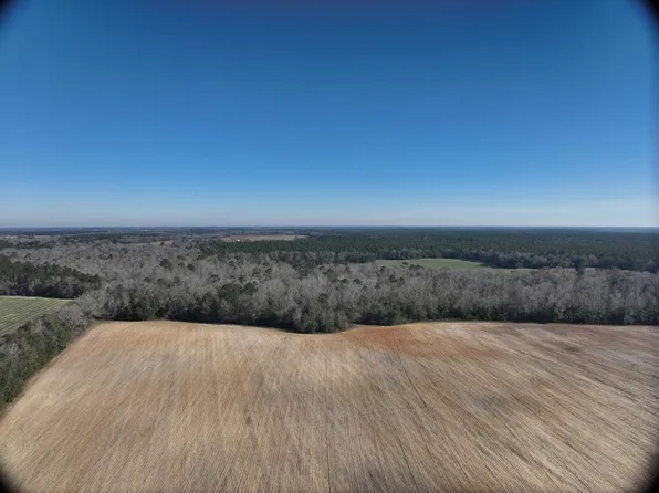 891 Griggs Lucille Rd, Colquitt, GA 39837