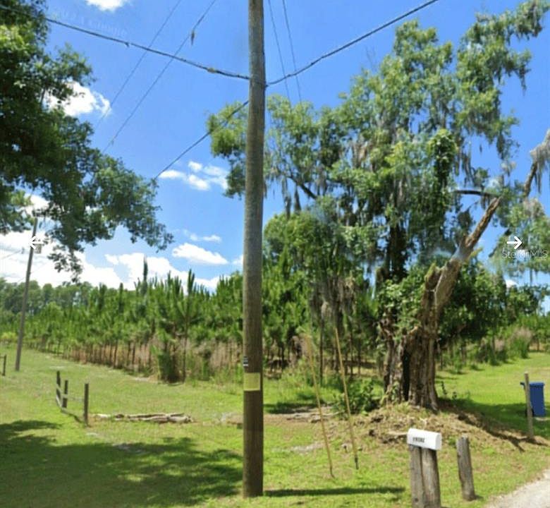 1st image of HOLLY LANE