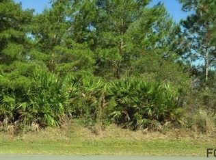 28 Raemond Ln, Palm Coast, FL 32164