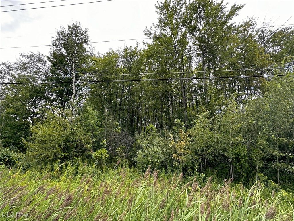Real estate listing image