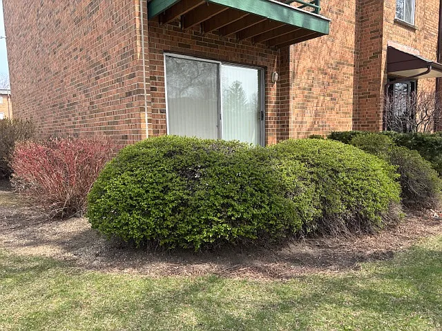 905 Casey Ct #1 — Photo 44