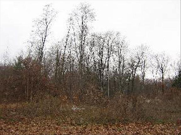5th image of 37 Hudson Dr