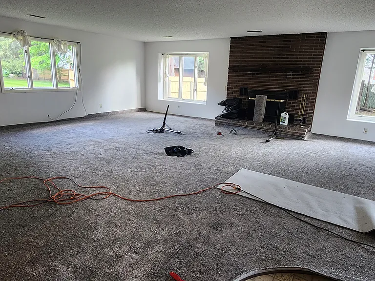 New Carpet in 2023