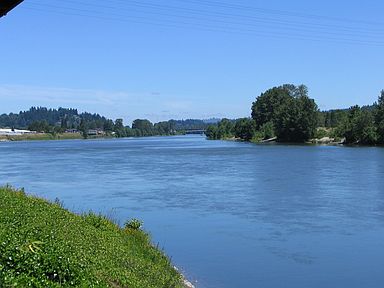 Sweeping Cowlitz River View