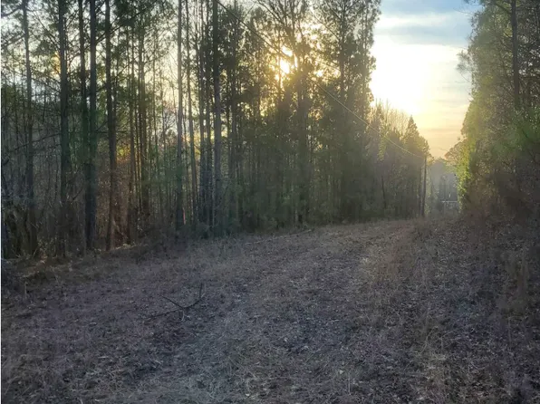 1629 Garner Rd, Gay, GA 30218