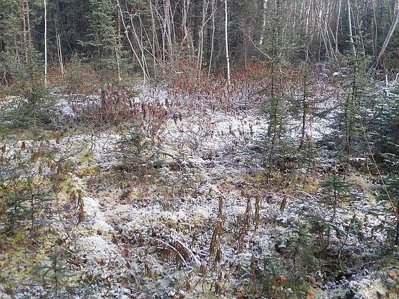 2nd image of 50599 S Silver Salmon Dr
