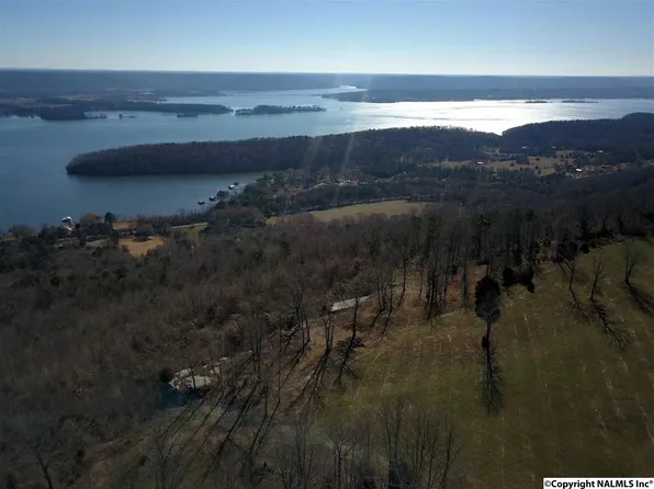 Guffey Rd, Scottsboro, AL 35769