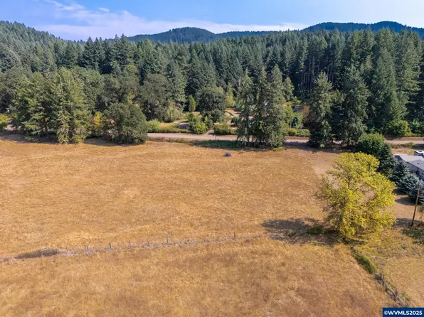 Next To 26140 Alsea Deadwood Hwy, Alsea, OR 97324