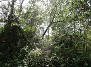 Kona Rd LOT 314, Pahoa, HI 96778