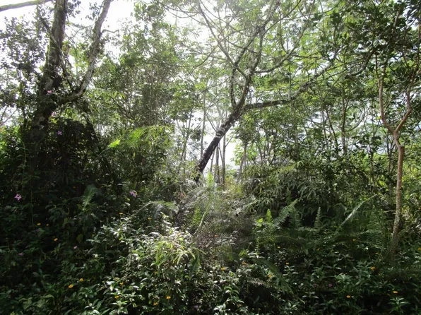 Kona Rd Lot 314, Pahoa, HI 96778