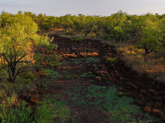 Tyra West Ranch - Land for Sale in Young County