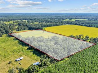 2068 SE Moses Dairy Rd, Branford, FL 32008