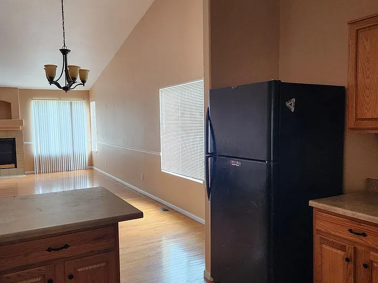 4845 Mount Evans St — Photo 17